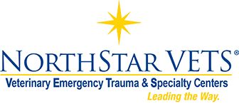 NorthStar VETS